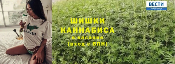 2c-b Пестово