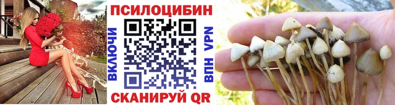 площадка телеграм  купить наркотики сайты  Арамиль  Галлюциногенные грибы MAGIC MUSHROOMS 